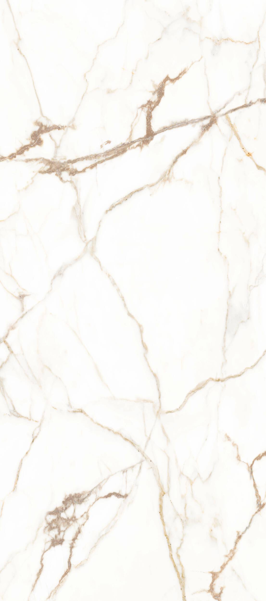 Bianco Gold